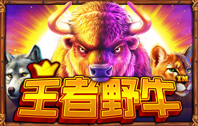b体育官网登录app